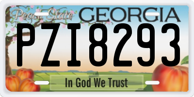 GA license plate PZI8293
