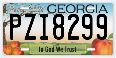 GA license plate PZI8299