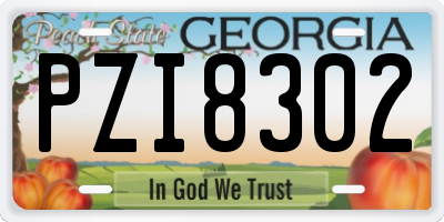 GA license plate PZI8302