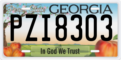 GA license plate PZI8303