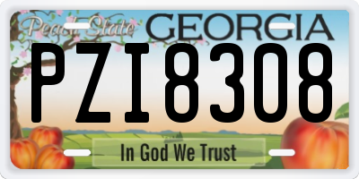 GA license plate PZI8308