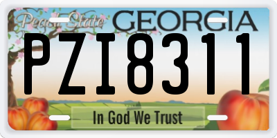 GA license plate PZI8311
