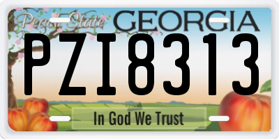 GA license plate PZI8313