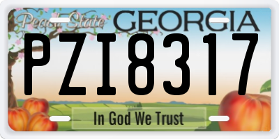 GA license plate PZI8317