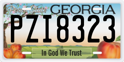 GA license plate PZI8323