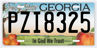 GA license plate PZI8325