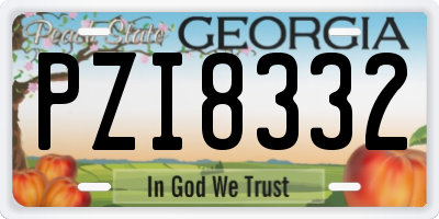 GA license plate PZI8332