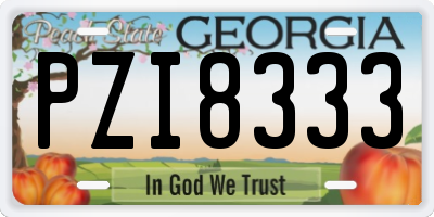 GA license plate PZI8333