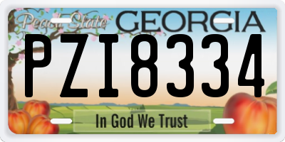 GA license plate PZI8334