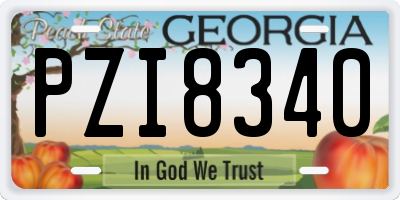 GA license plate PZI8340