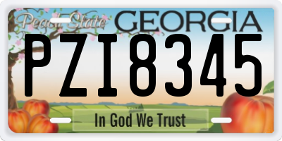 GA license plate PZI8345