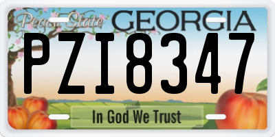 GA license plate PZI8347