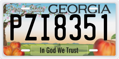 GA license plate PZI8351