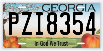 GA license plate PZI8354
