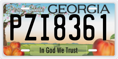 GA license plate PZI8361