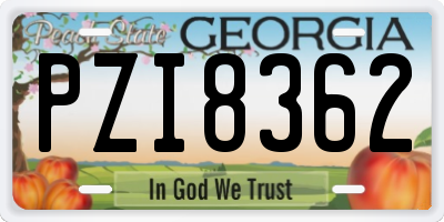 GA license plate PZI8362