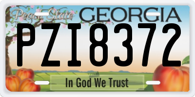 GA license plate PZI8372