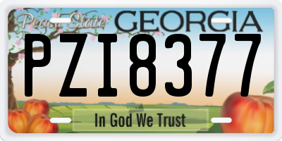GA license plate PZI8377