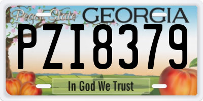 GA license plate PZI8379