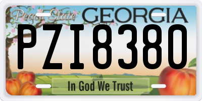 GA license plate PZI8380