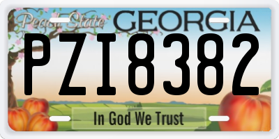 GA license plate PZI8382