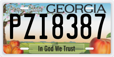 GA license plate PZI8387