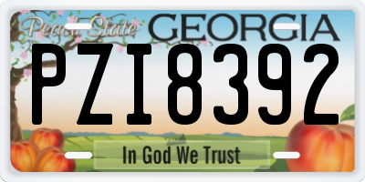 GA license plate PZI8392