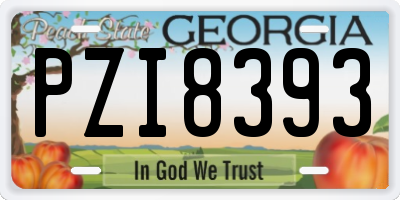 GA license plate PZI8393