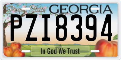 GA license plate PZI8394