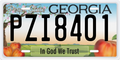 GA license plate PZI8401