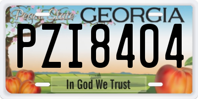 GA license plate PZI8404