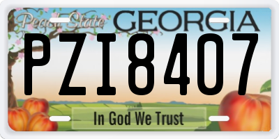GA license plate PZI8407