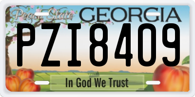 GA license plate PZI8409