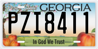 GA license plate PZI8411