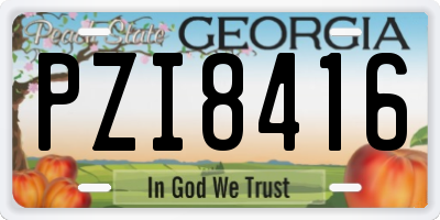 GA license plate PZI8416