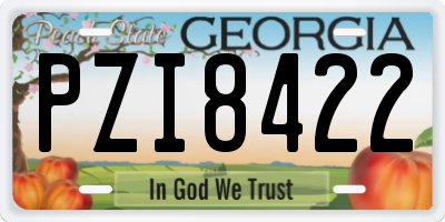 GA license plate PZI8422