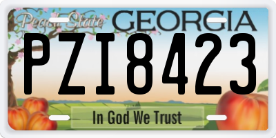 GA license plate PZI8423