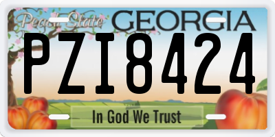 GA license plate PZI8424