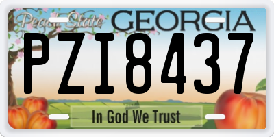 GA license plate PZI8437
