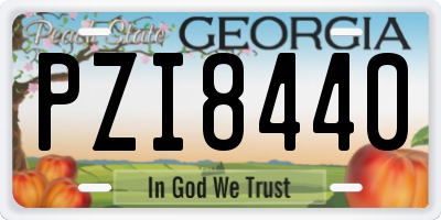 GA license plate PZI8440
