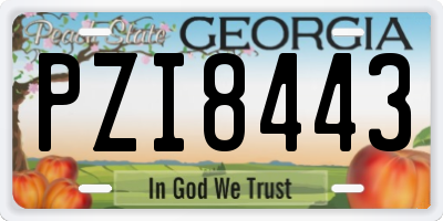 GA license plate PZI8443