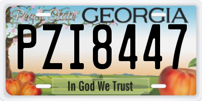 GA license plate PZI8447