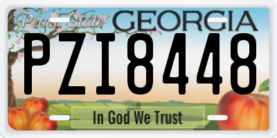 GA license plate PZI8448