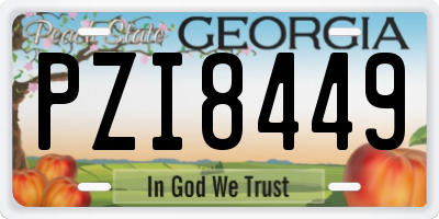 GA license plate PZI8449