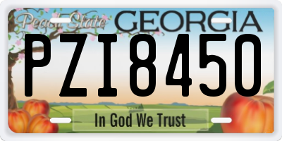 GA license plate PZI8450