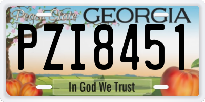 GA license plate PZI8451
