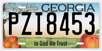 GA license plate PZI8453