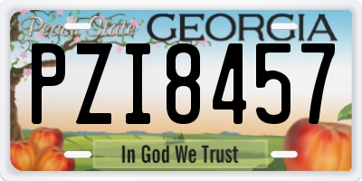 GA license plate PZI8457