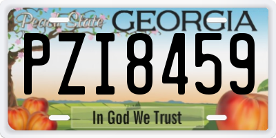 GA license plate PZI8459