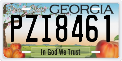 GA license plate PZI8461